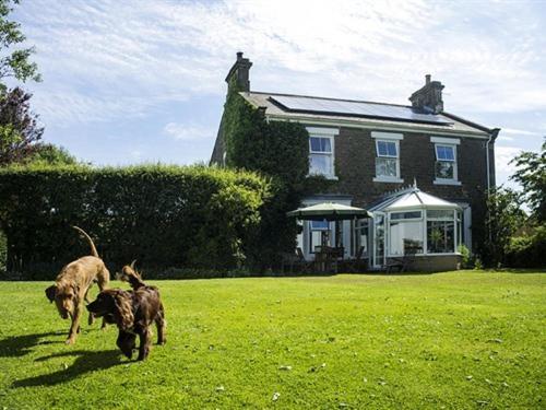 Dowfold House Bed And Breakfast Crook  Exterior photo